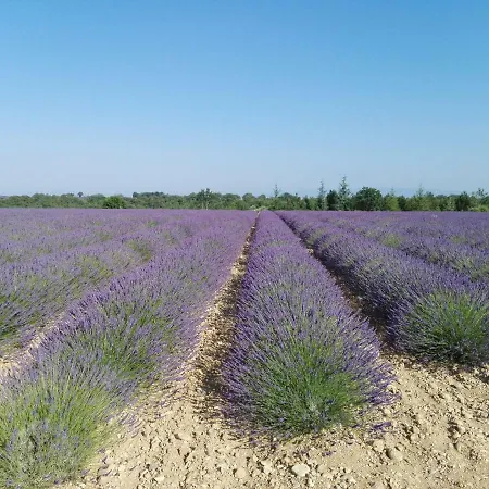 Des 7 Collines * Roumoules