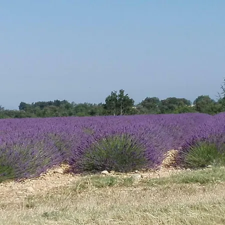 Апартаменты Des 7 Collines